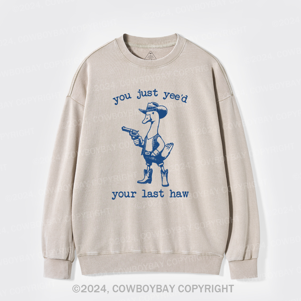 Come On, Beg For Mercy Washed Sweatshirts