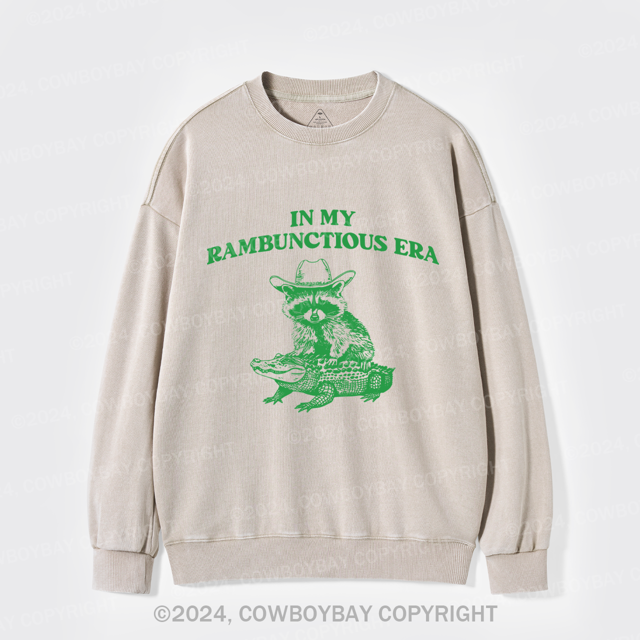 In My Rambunctious Era Racoon Washed Sweatshirts