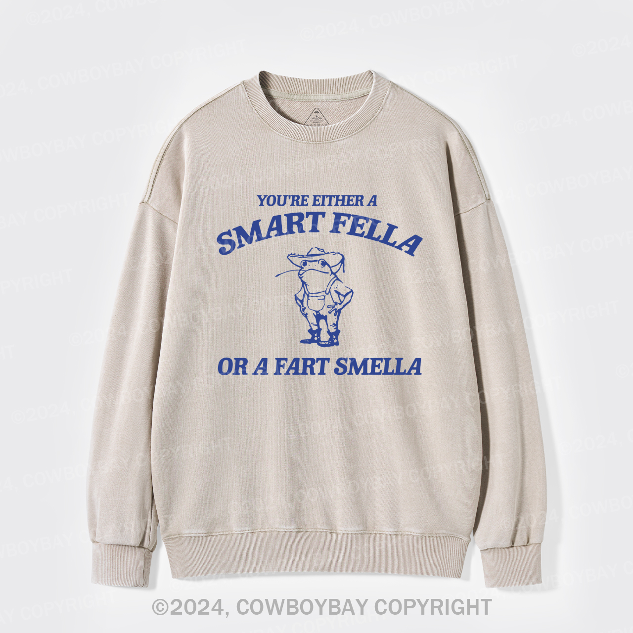 Are You A Smart Fella Or Fart Smella Washed Sweatshirts