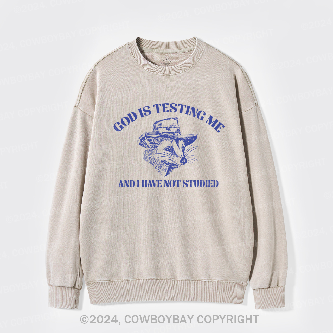 God Is Testing Me Funny Washed Sweatshirts