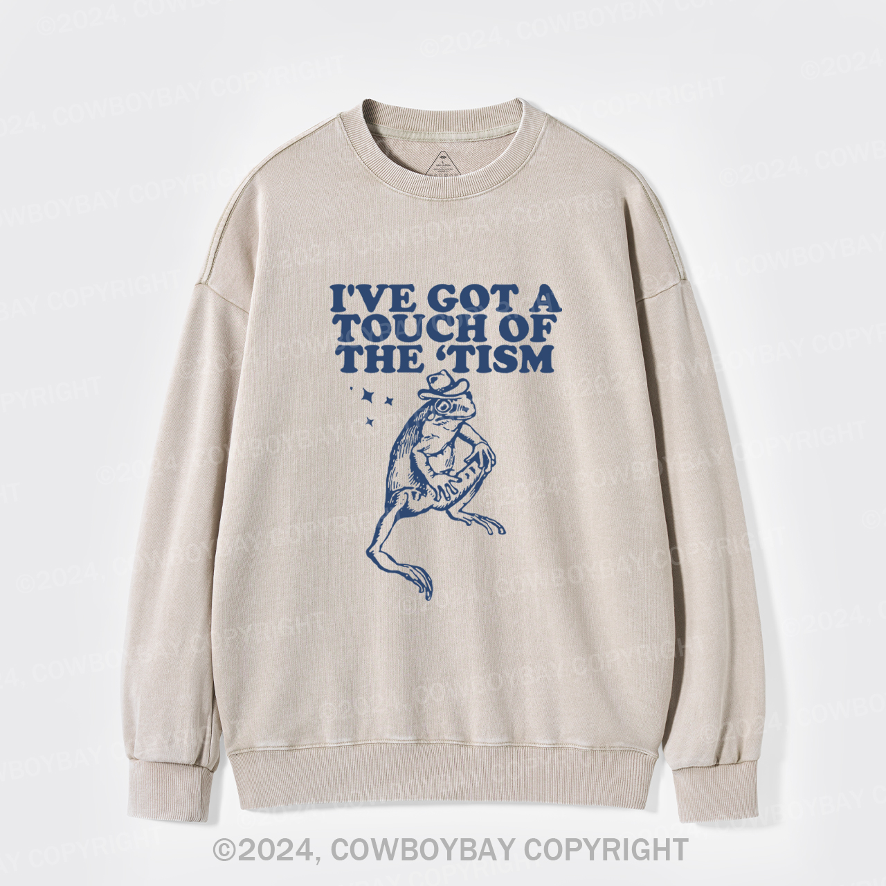 I've Got A Touch Of The Tism Washed Sweatshirts