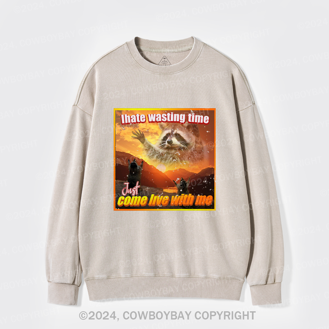 I Hate Wasting Time Just Come Live With Me Washed Sweatshirts