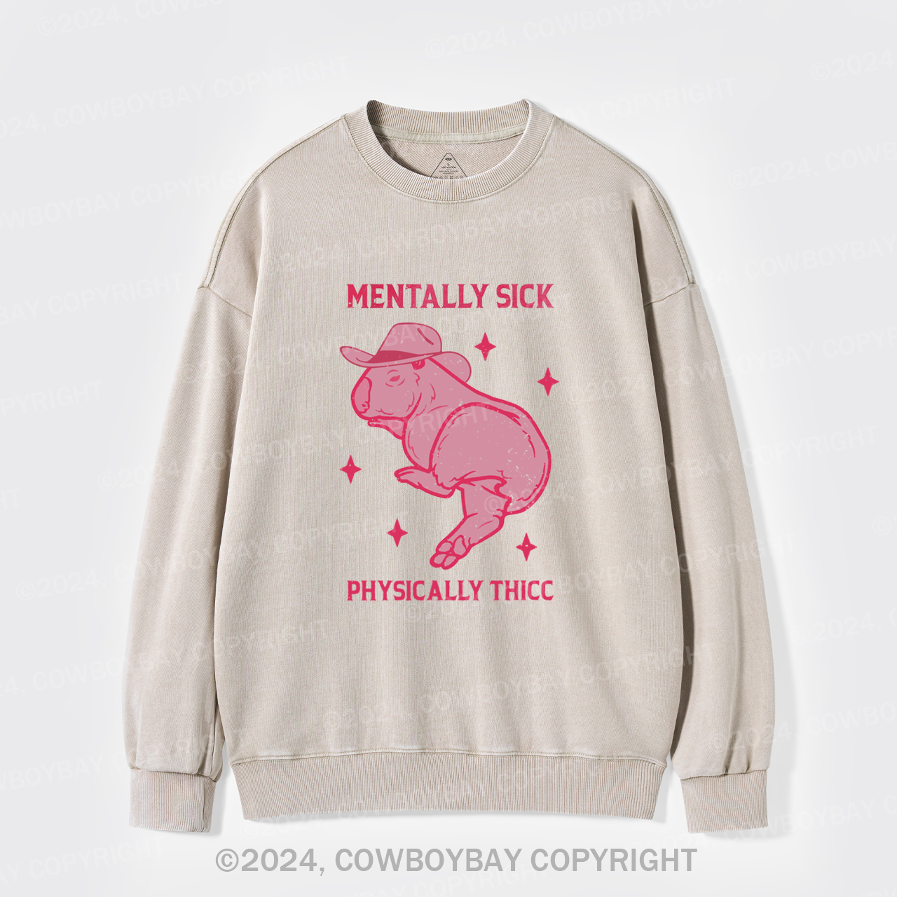Mentally Sick Physically Thicc Capybara Washed Sweatshirts