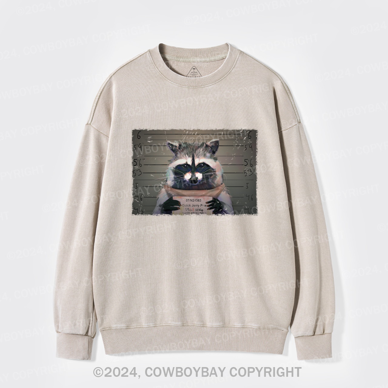 The Captive Raccoon Killer Washed Sweatshirts