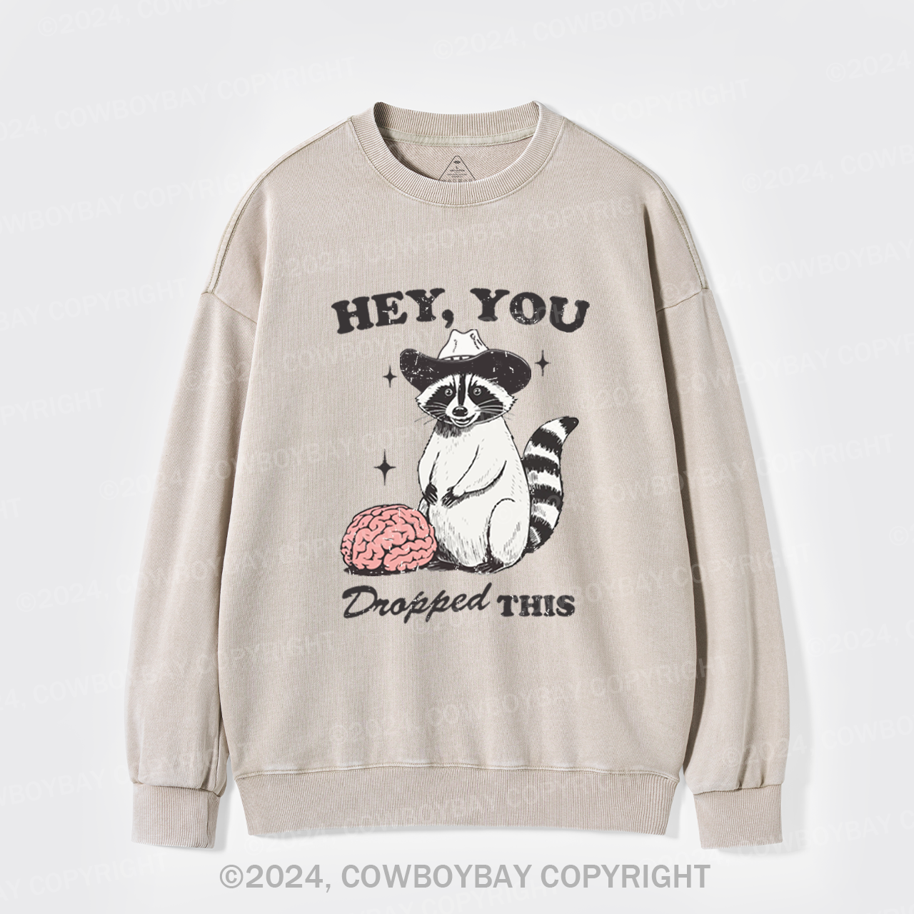 Hey, You Dropped This Washed Sweatshirts