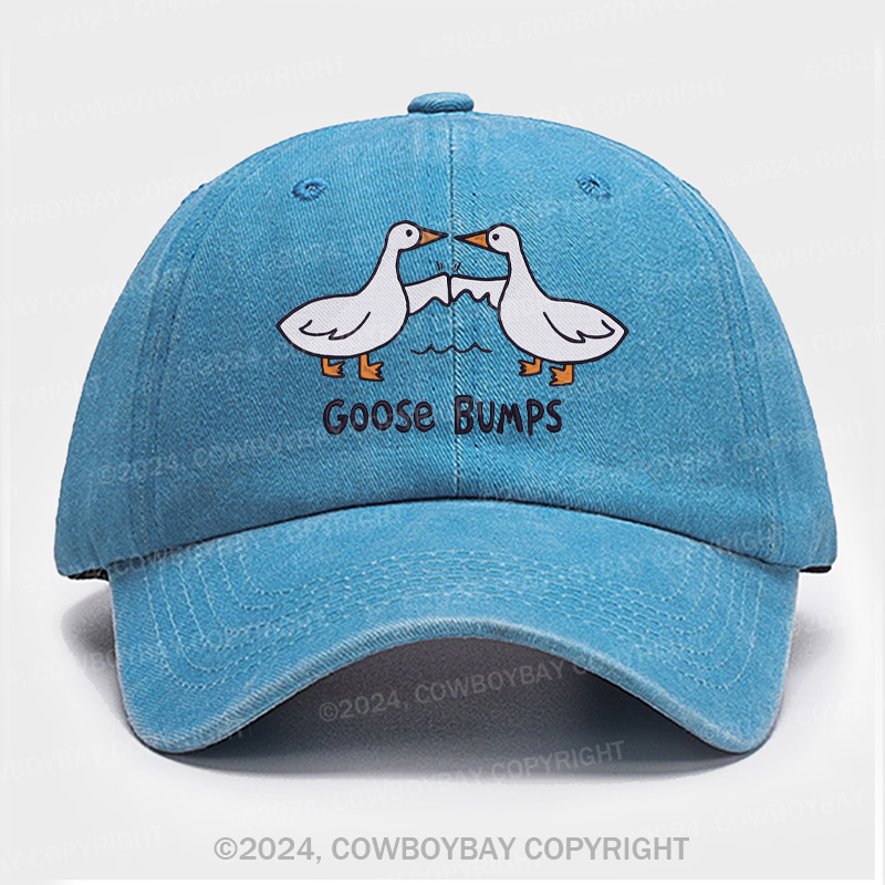 Goose Bump Embroidery Washed Hat