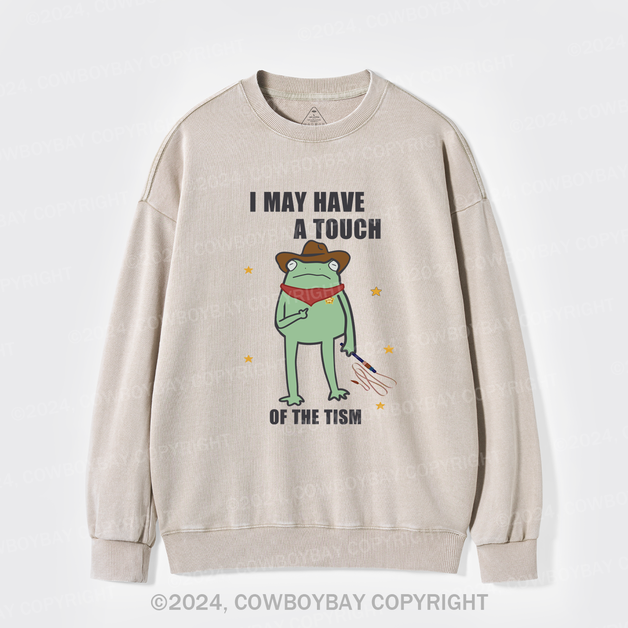 I May Have A Touch Of The Tism Washed Sweatshirts