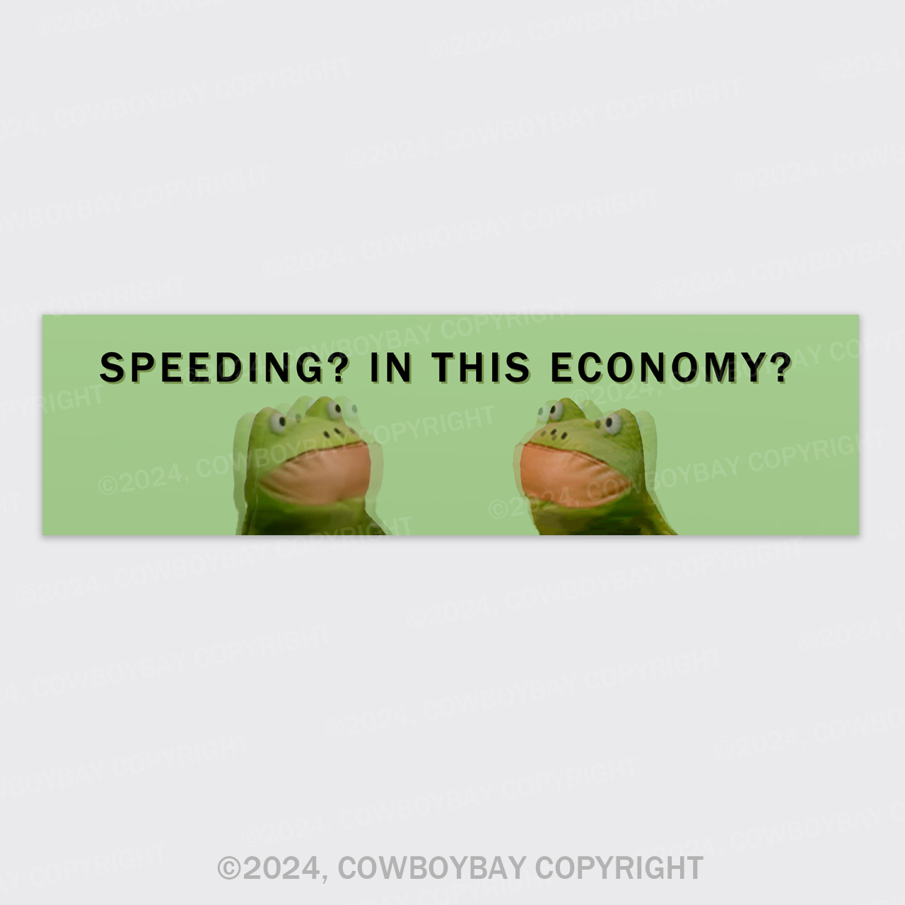 Speeding In This Economy Bumper Magnet