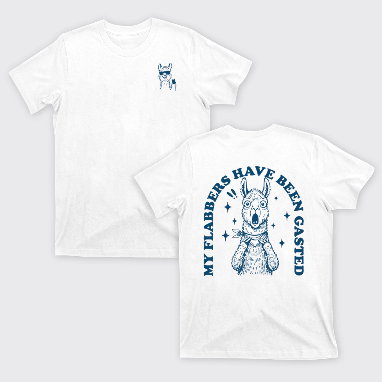 Snarky Sayings-My Flabbers Have Been Gasted T-Shirts