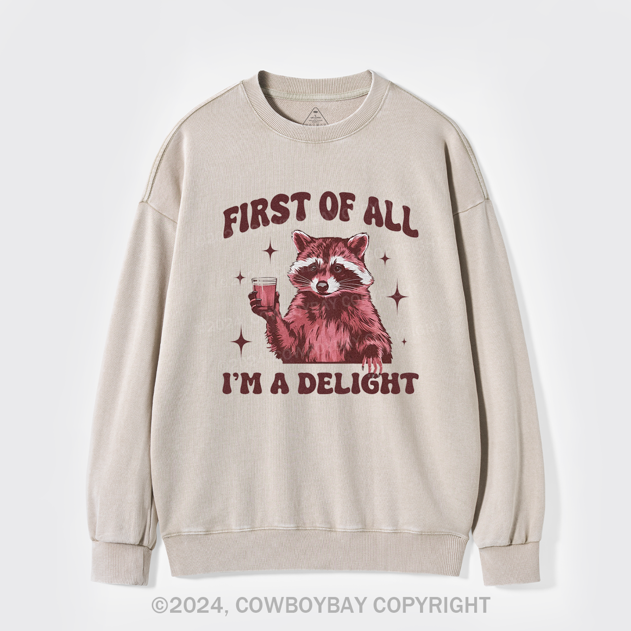 First Of All,I'm A Delight Washed Sweatshirts