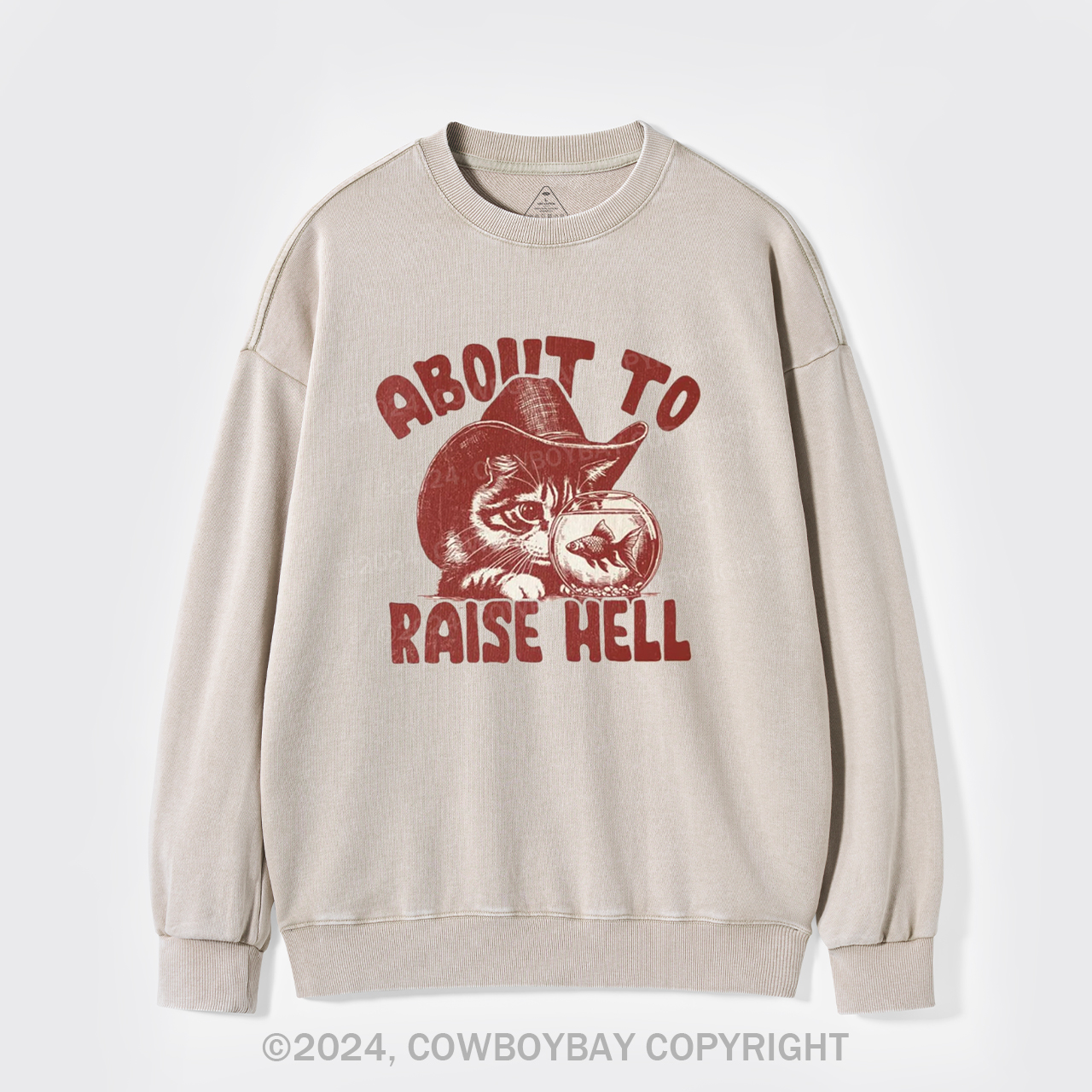 About To Raise Hell Washed Sweatshirts