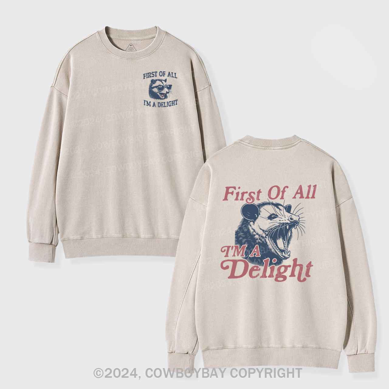 I'm A Delight Washed Sweatshirts