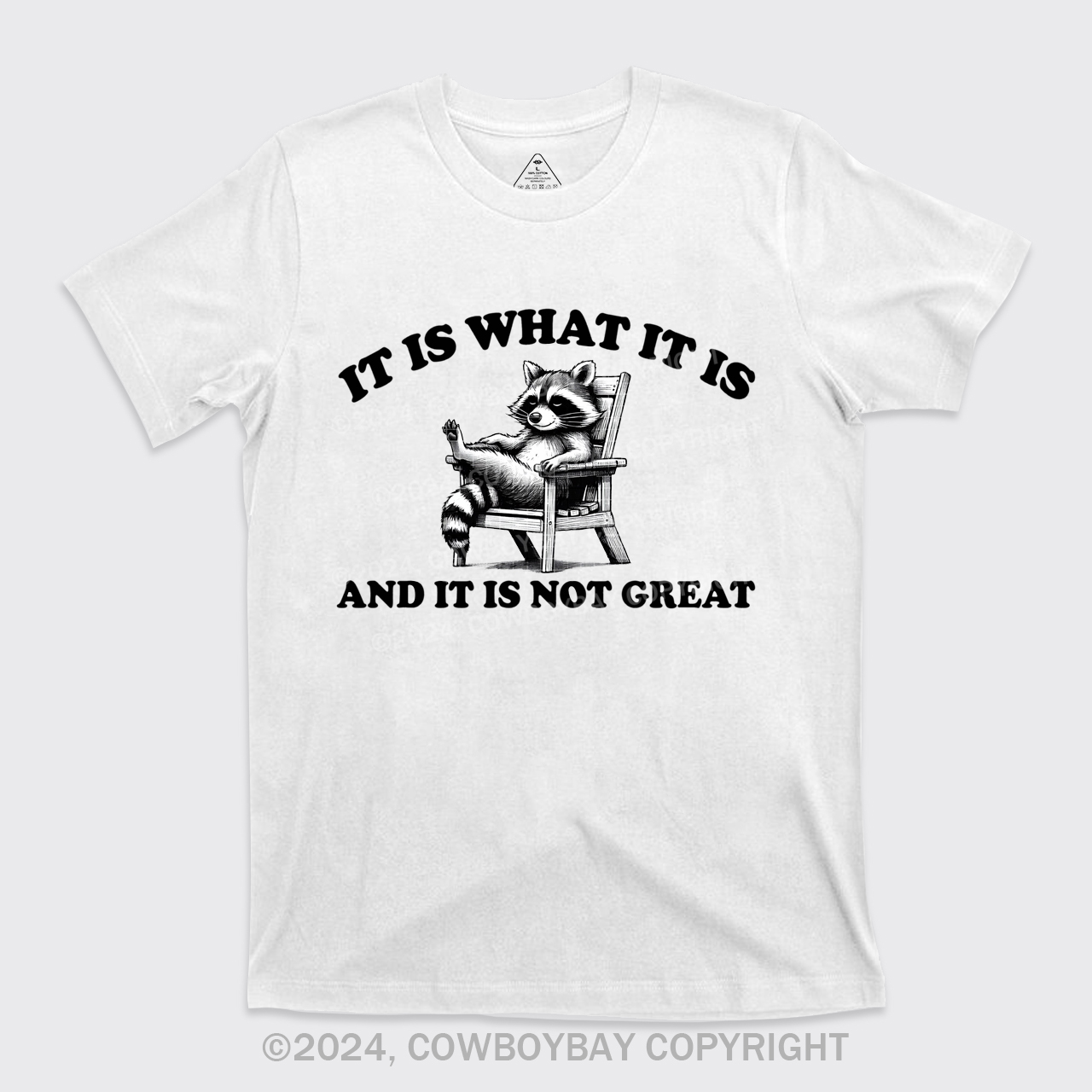It Is What It Is And It Is Not Great T-Shirts