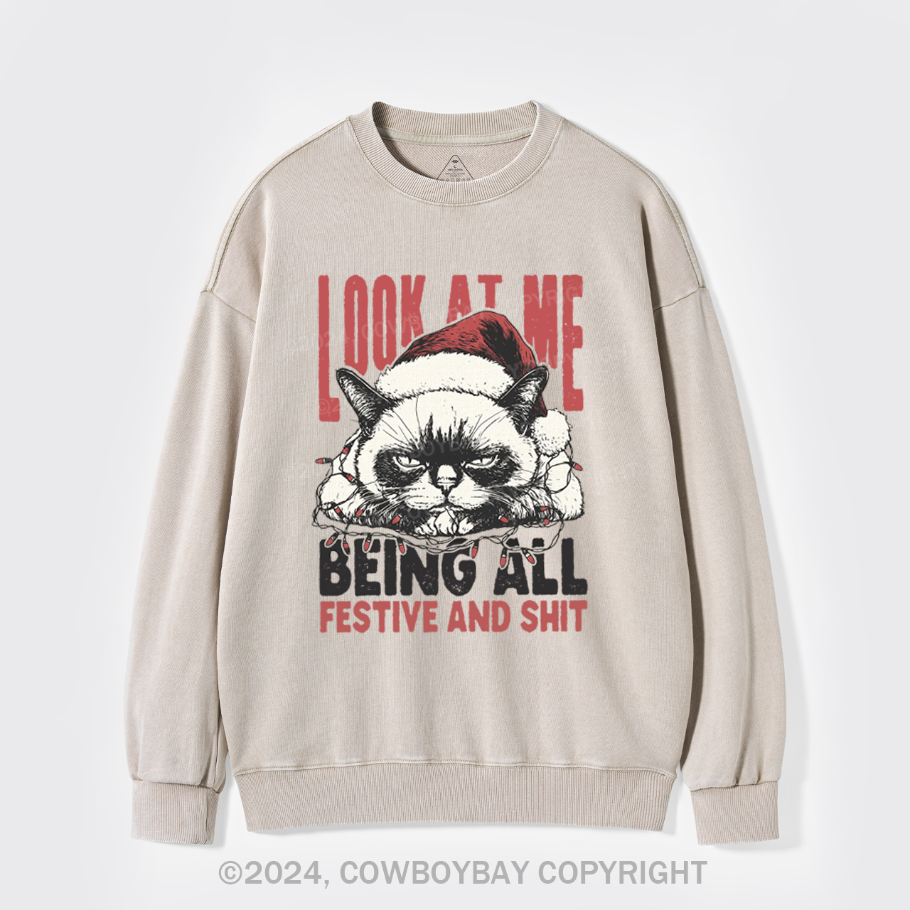 Funny Christmas Cat Washed Sweatshirts