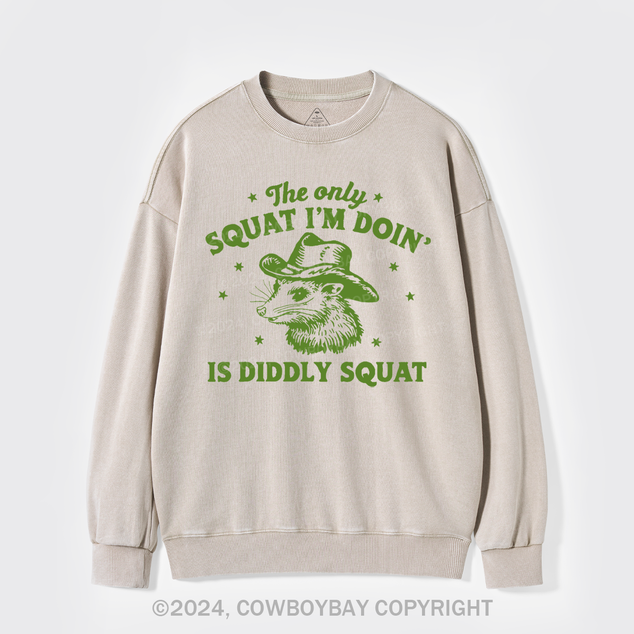 The Only Squat I'm Doing Is Diddly Squat Washed Sweatshirts