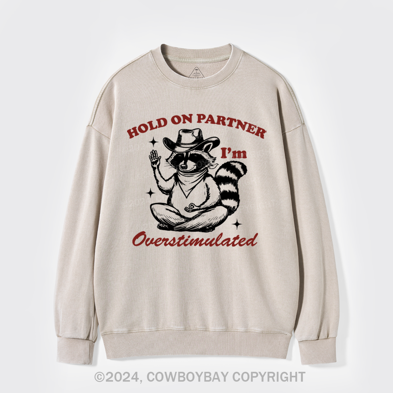 Hold On Partner I'm Overstimulated Washed Sweatshirts