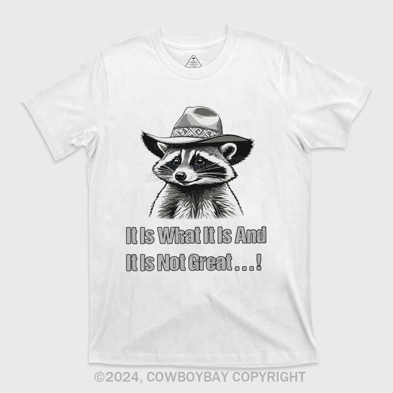 It Is What It Is And It Is Not Great T-Shirts