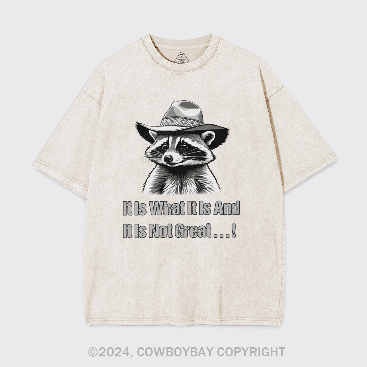 It Is What It Is And It Is Not Great Garment-dye Tees