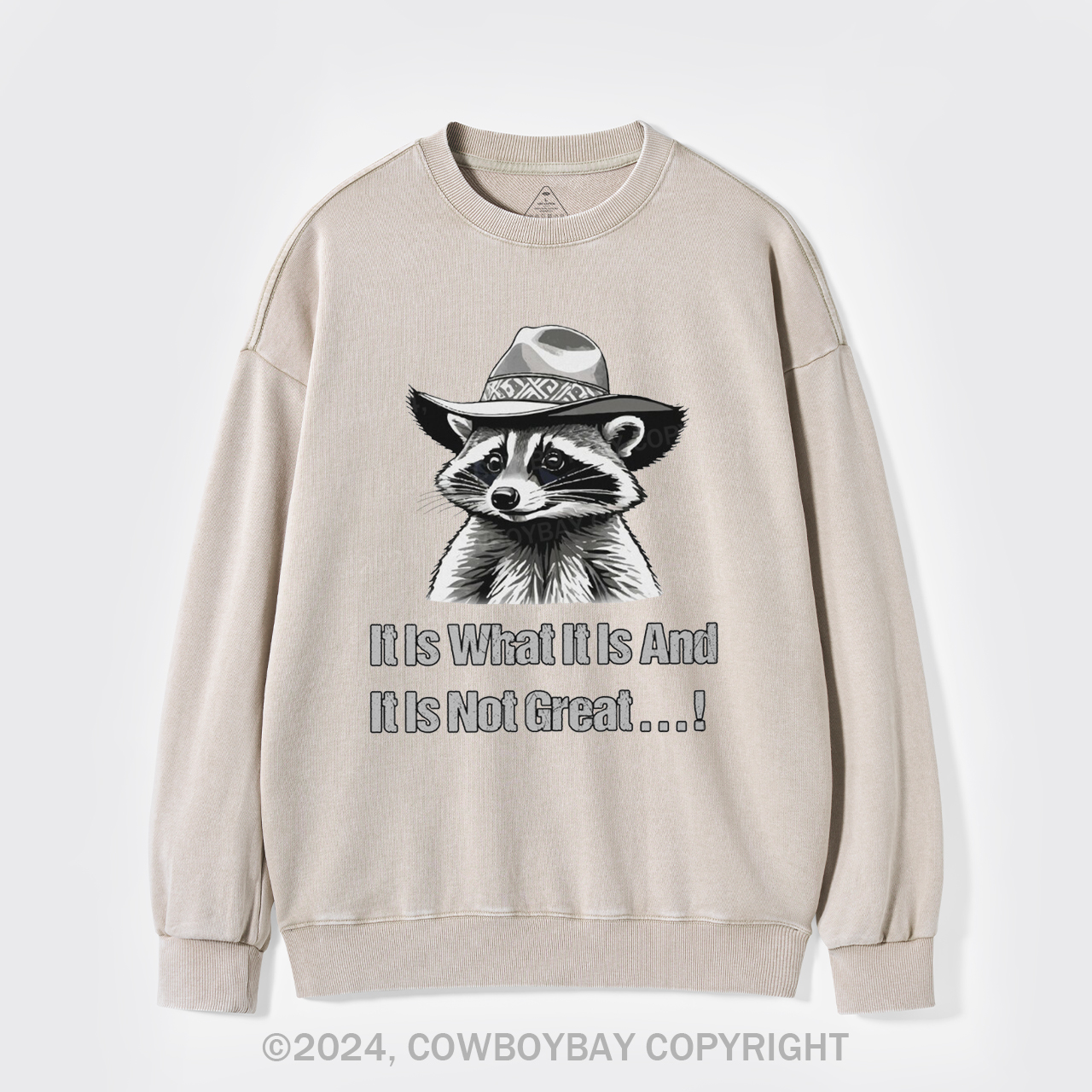 It Is What It Is And It Is Not Great Washed Sweatshirts