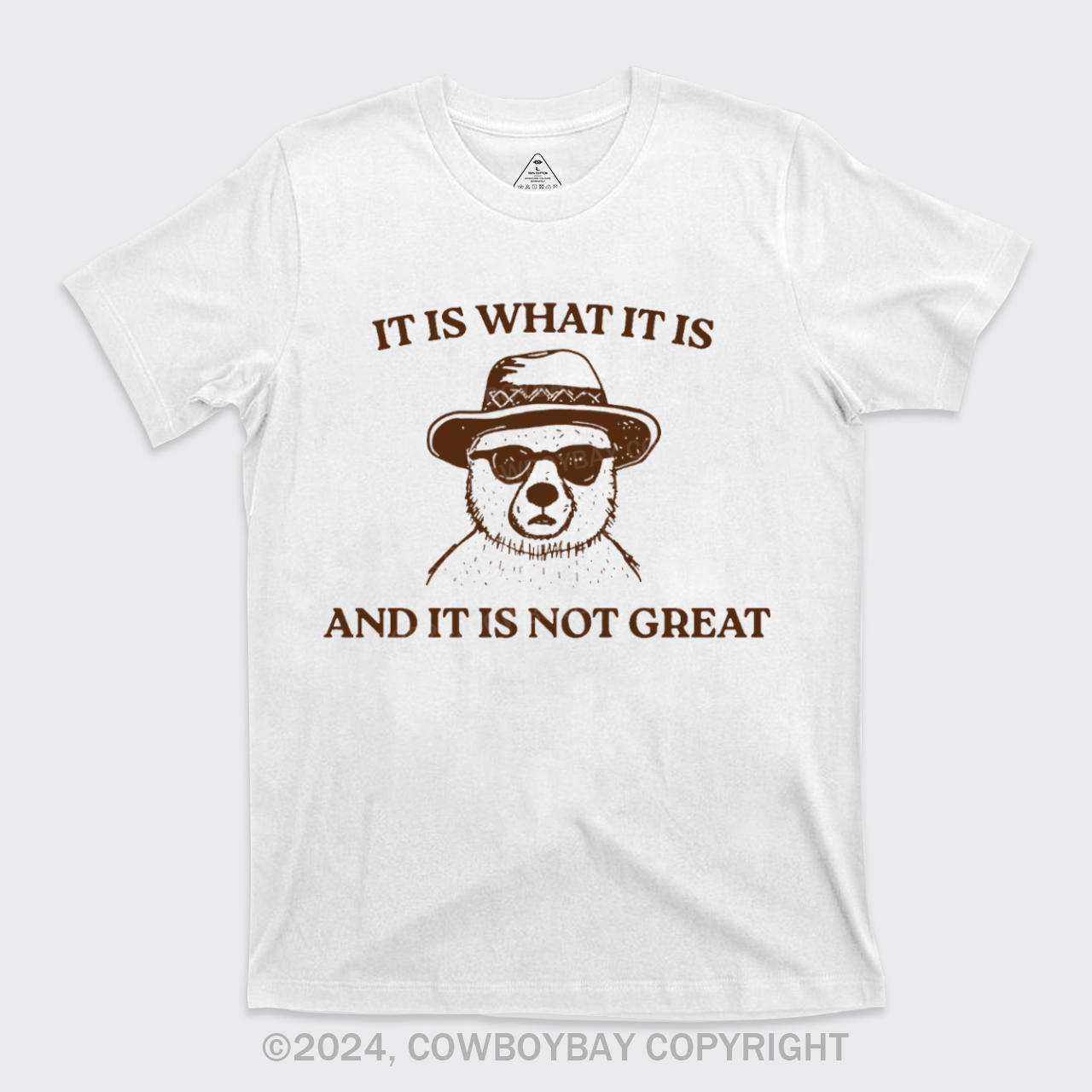 It Is What It Is And It Is Not Great T-Shirts
