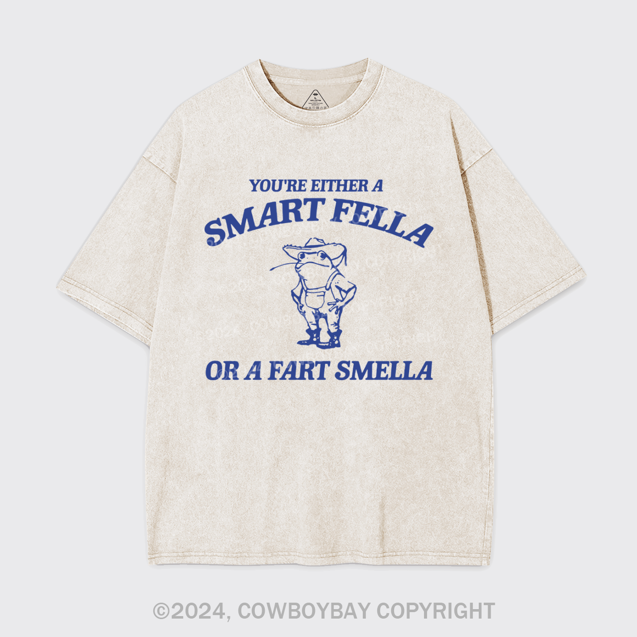 Are You A Smart Fella Or Fart Smella Garment-dye Tees