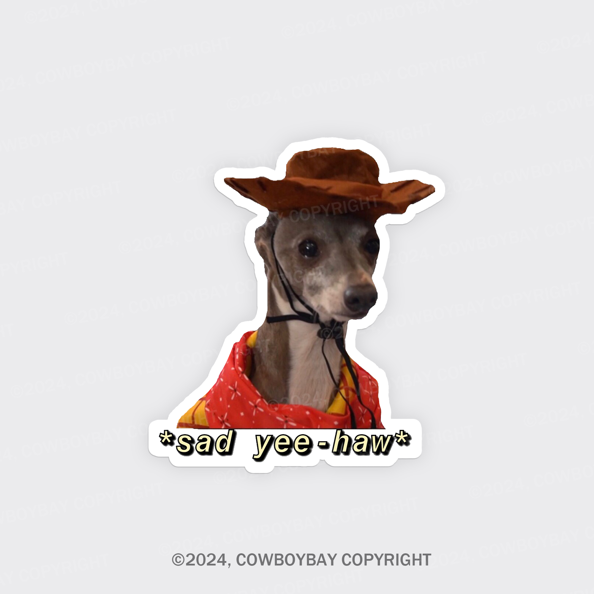 Sad Boy Cowboy Fridge Magnet