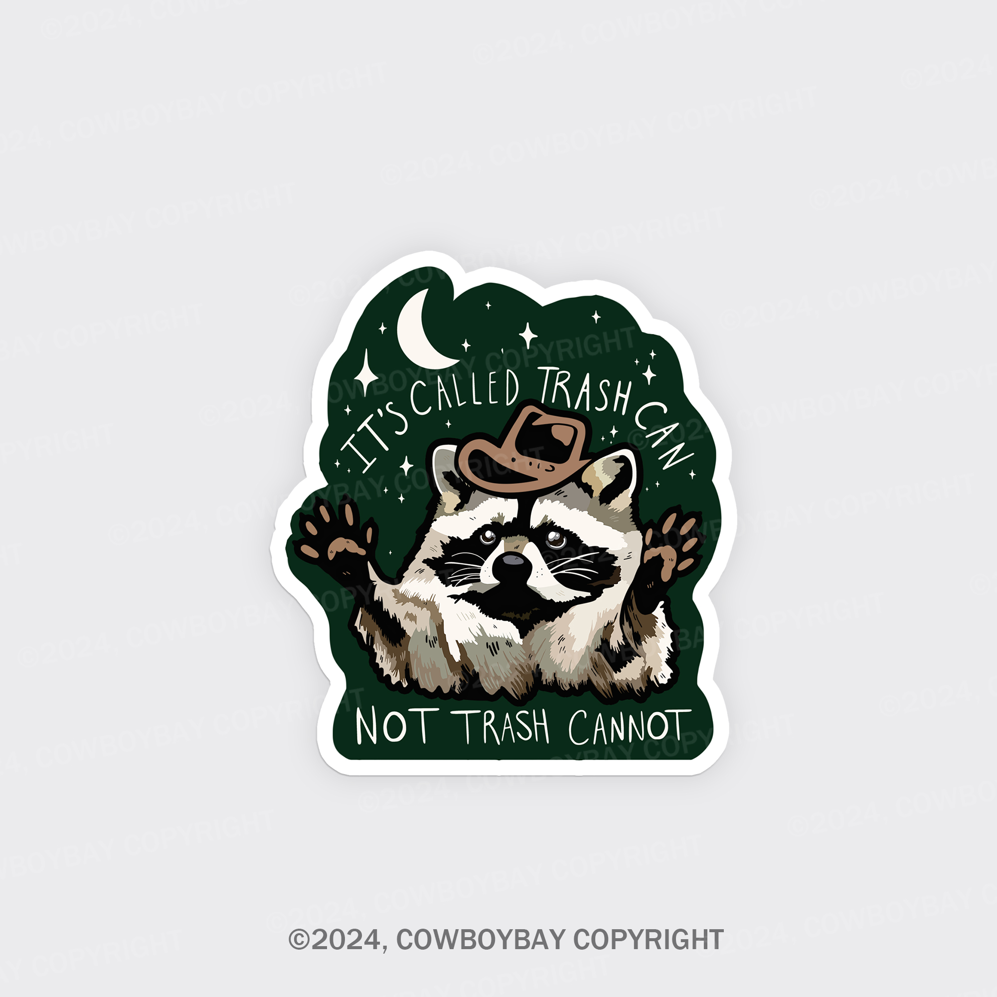 Raccoon Fridge Magnet
