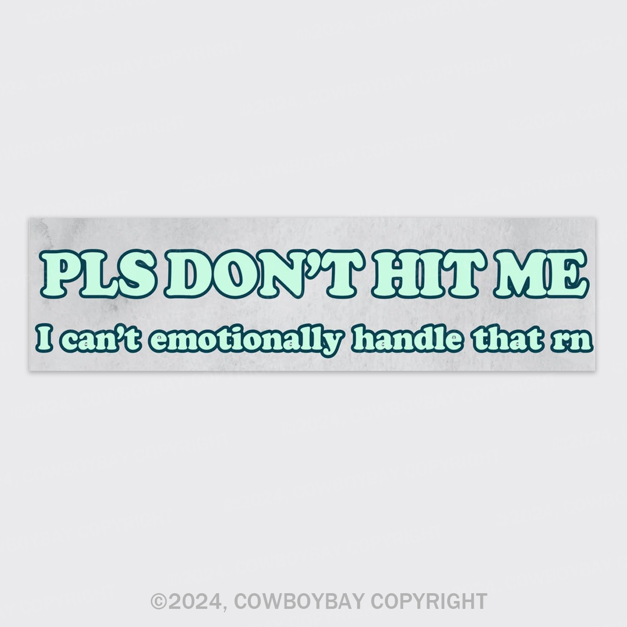 Pls Don't Hit Me Bumper Magnet