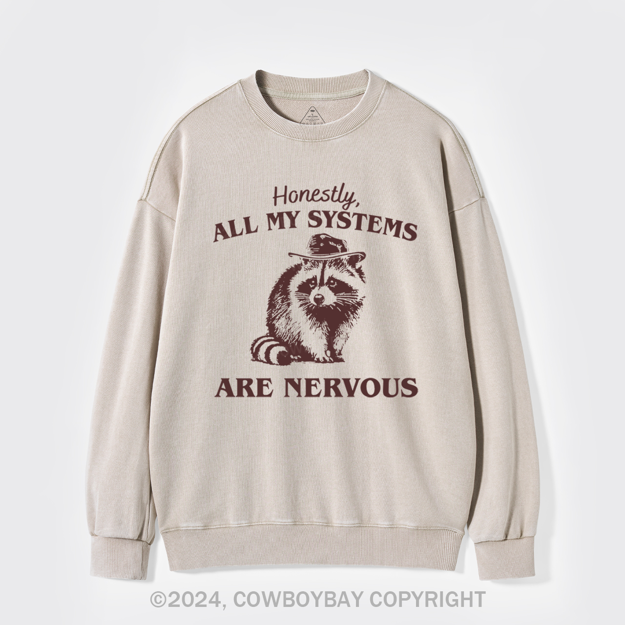 Actually All My Systems Are Nervous Washed Sweatshirts