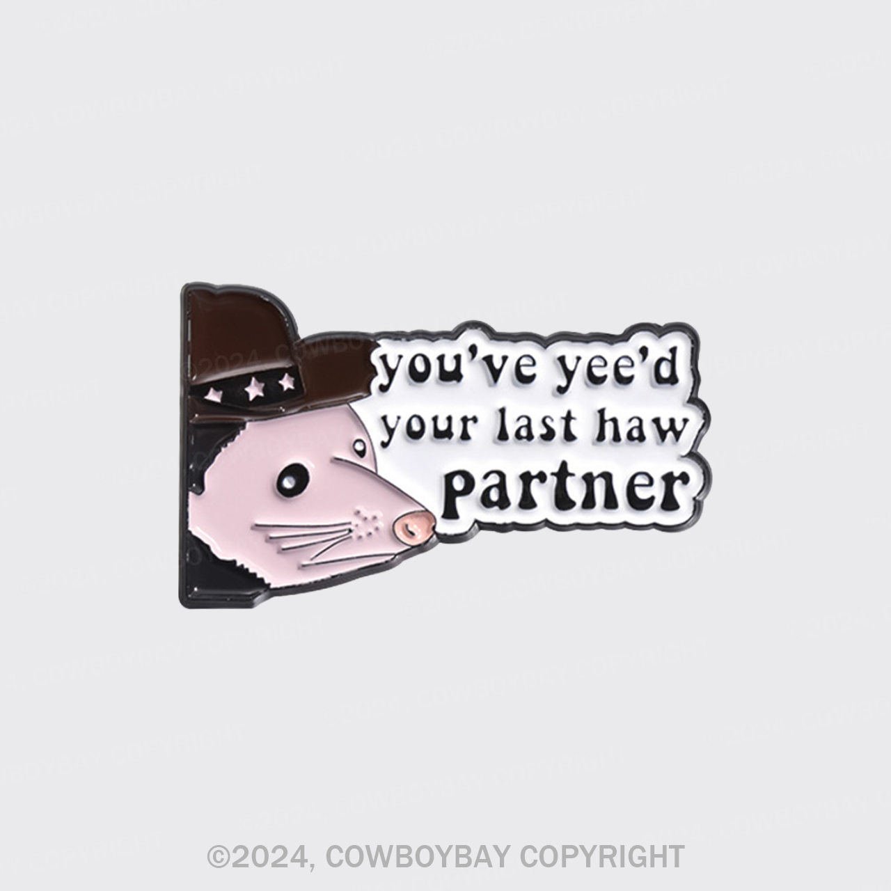 You've Yee'd Your Last Haw Partner_Cowboybay Pin