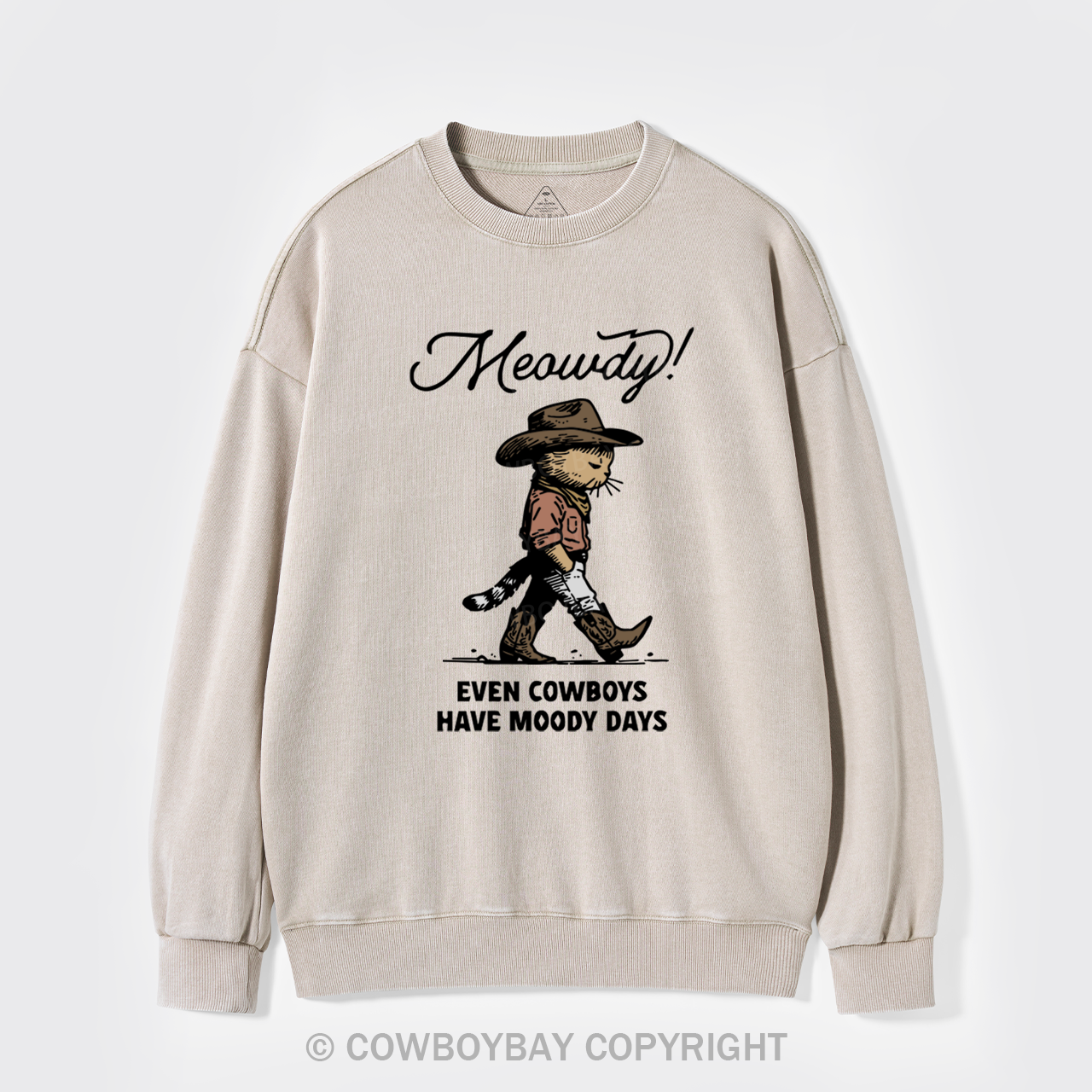 Sad Cat Cowboy Washed Sweatshirts