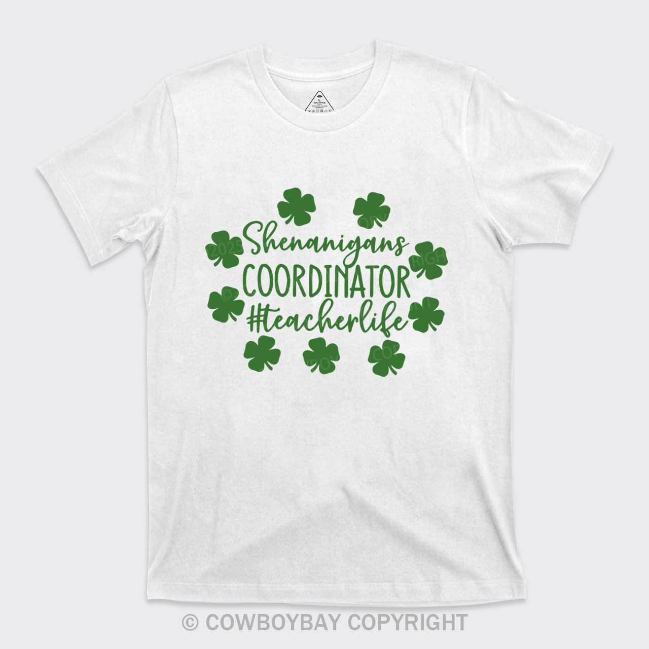 Shenanigans Coordinator Teacherlife T-Shirts