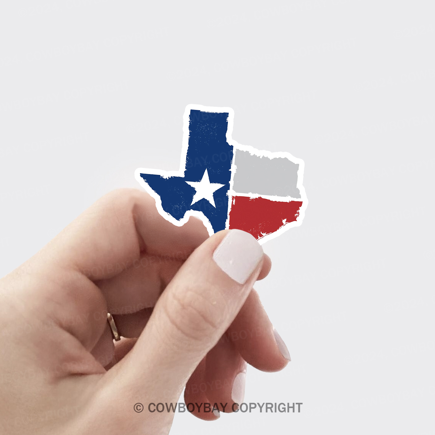 Texas State Flag Sticker 