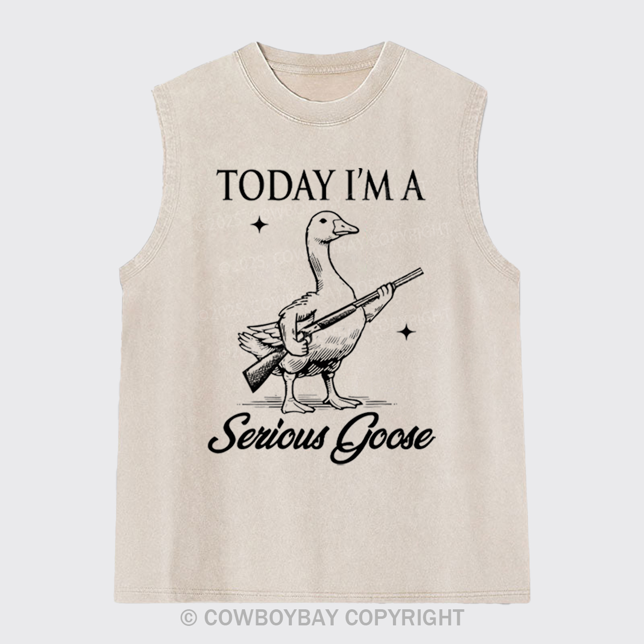 Today I'm Serious Goose Washed Tanks