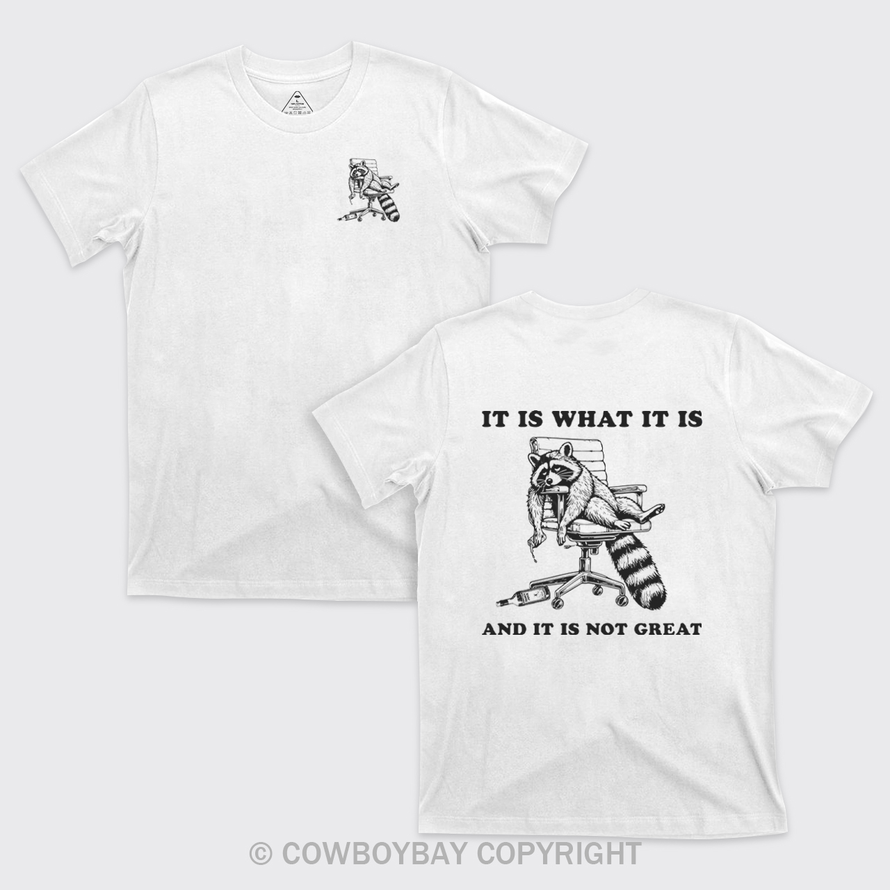 It Is What It Is And It Is Not Great T-Shirts