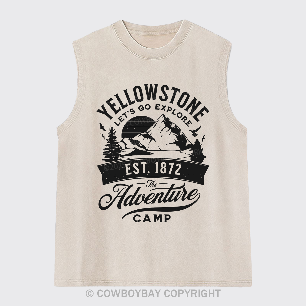 Yellowstone Let's Explore Washed Tanks