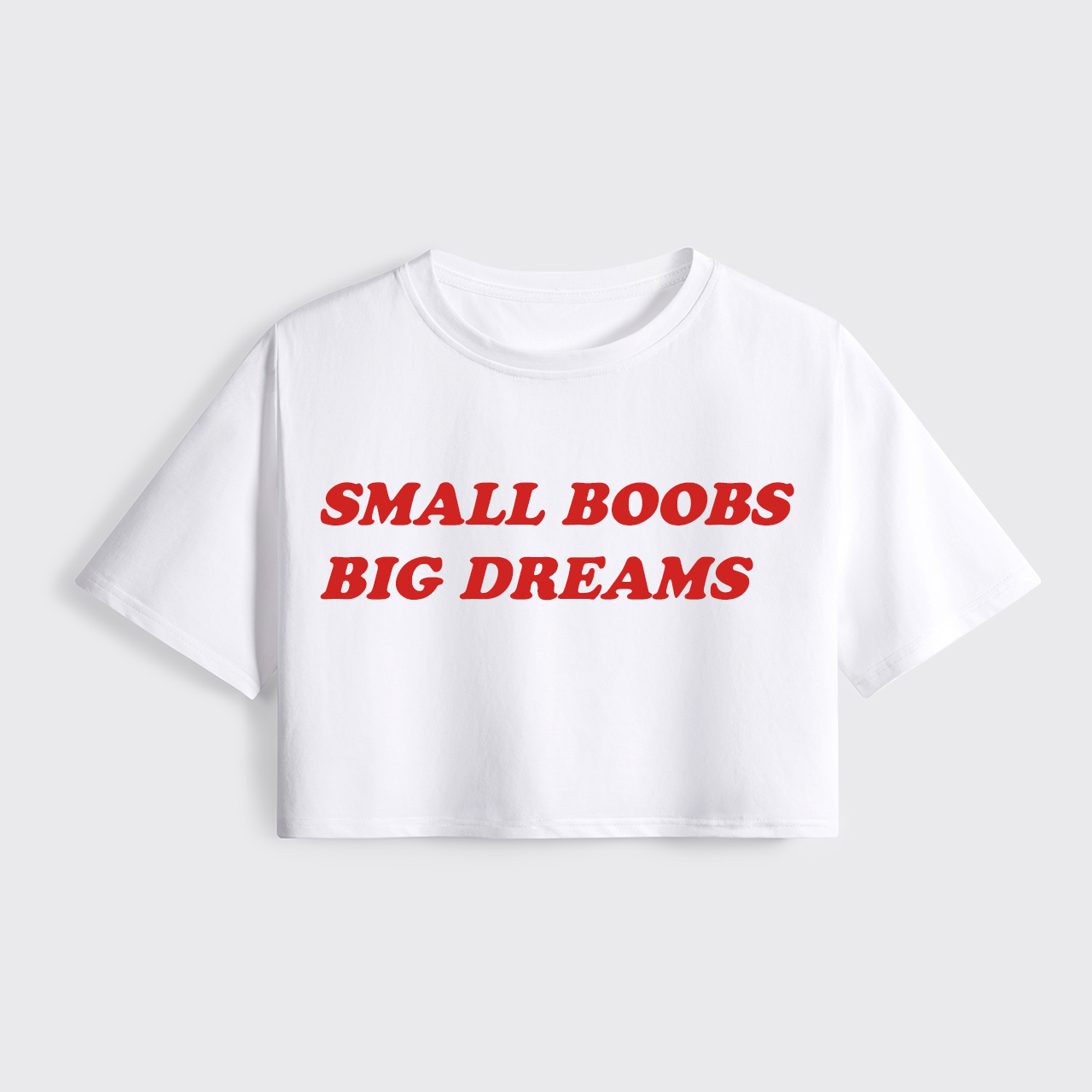 Small Boobs Big Dreams Cropped Boxy Tee
