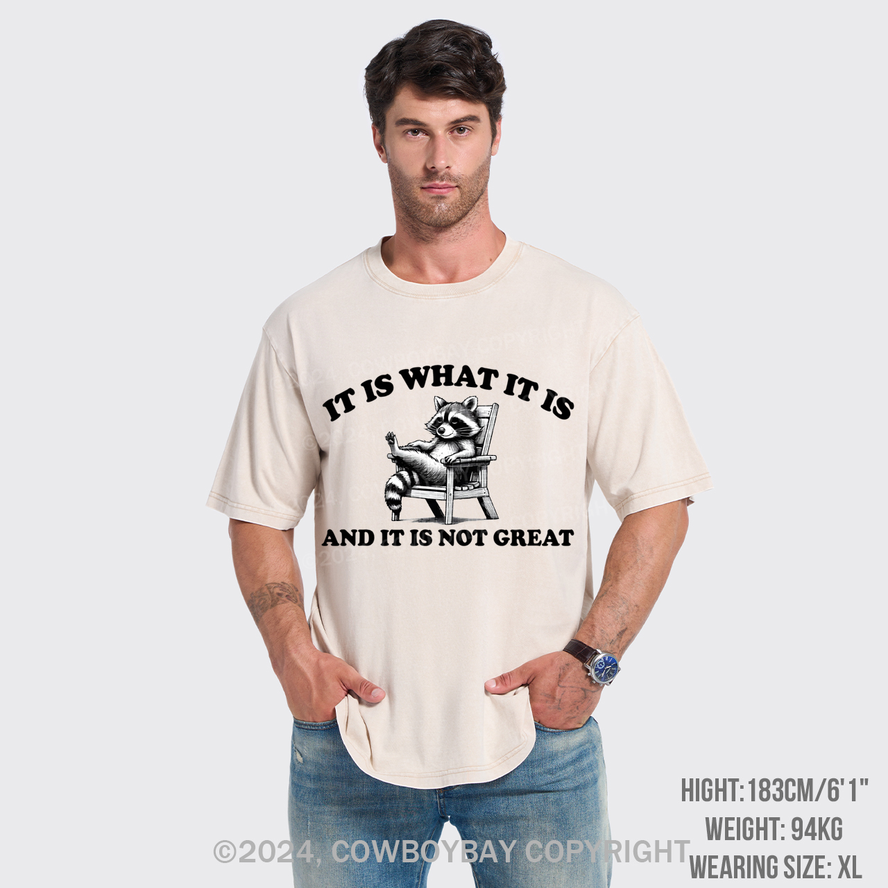 It Is What It Is And It Is Not Great Garment-dye Tees