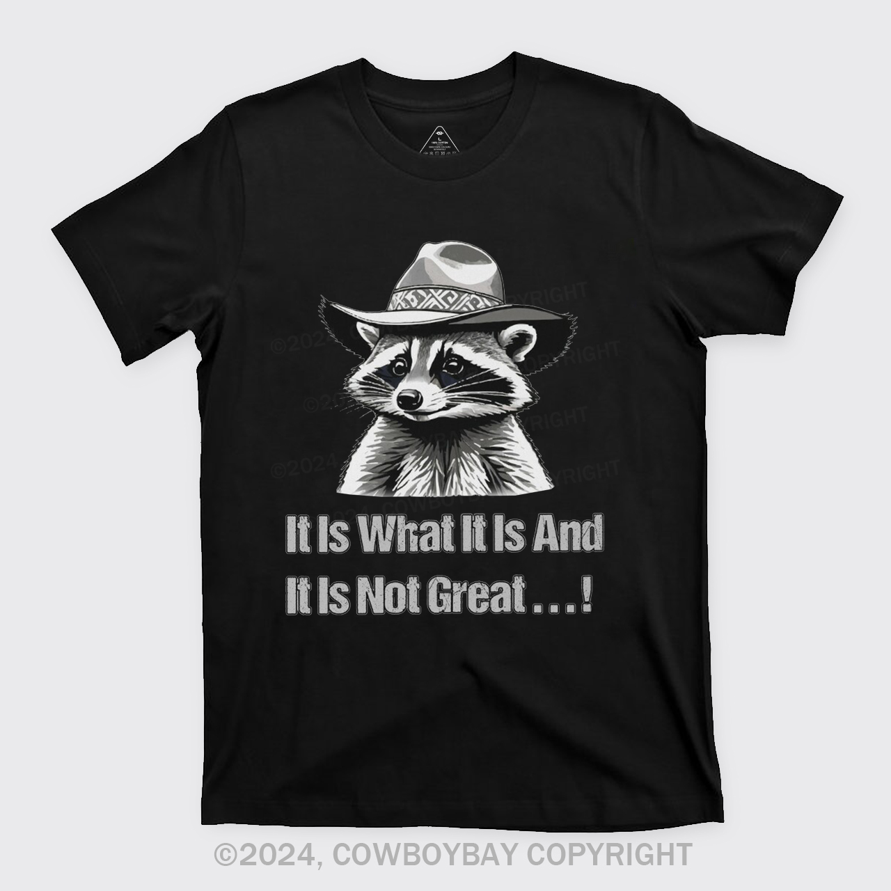 It Is What It Is And It Is Not Great T-Shirts