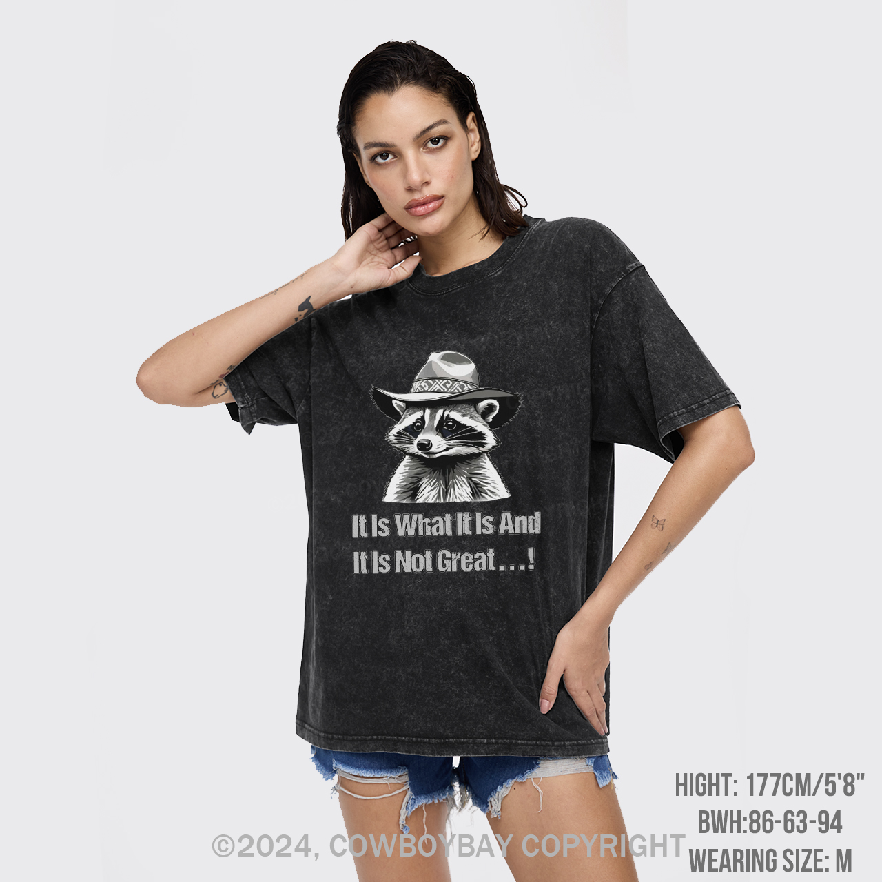 It Is What It Is And It Is Not Great Garment-dye Tees