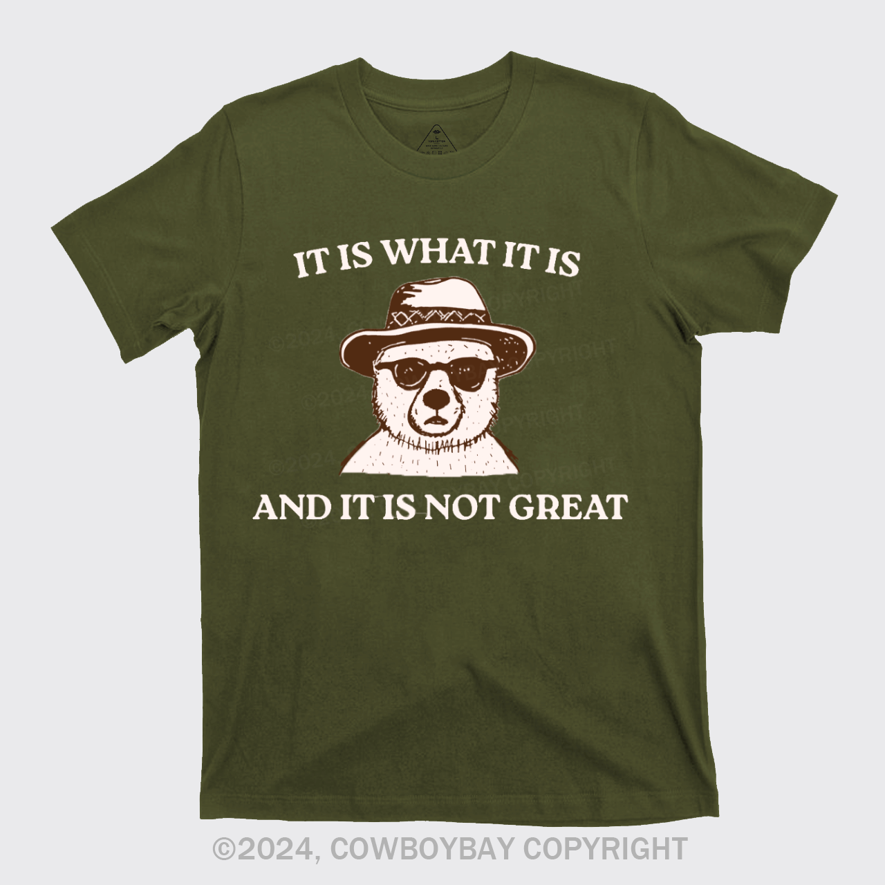 It Is What It Is And It Is Not Great T-Shirts