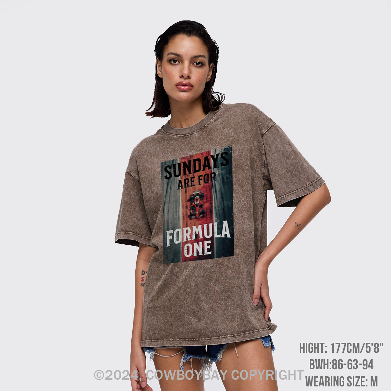 Sundays Are For Formula One Garment-dye Tees