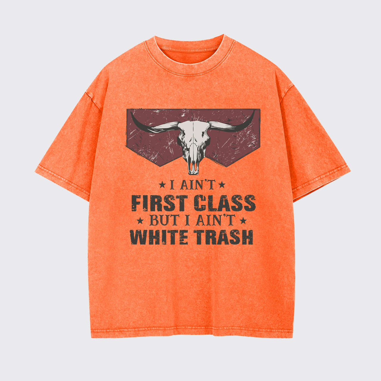 Ain't First Class Garment-dye Tees