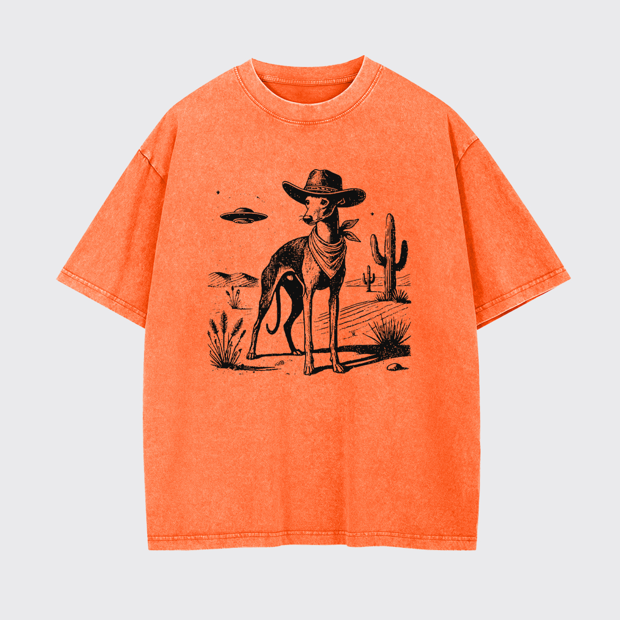 Whippet Vintage UFO Western Garment-dye Tees