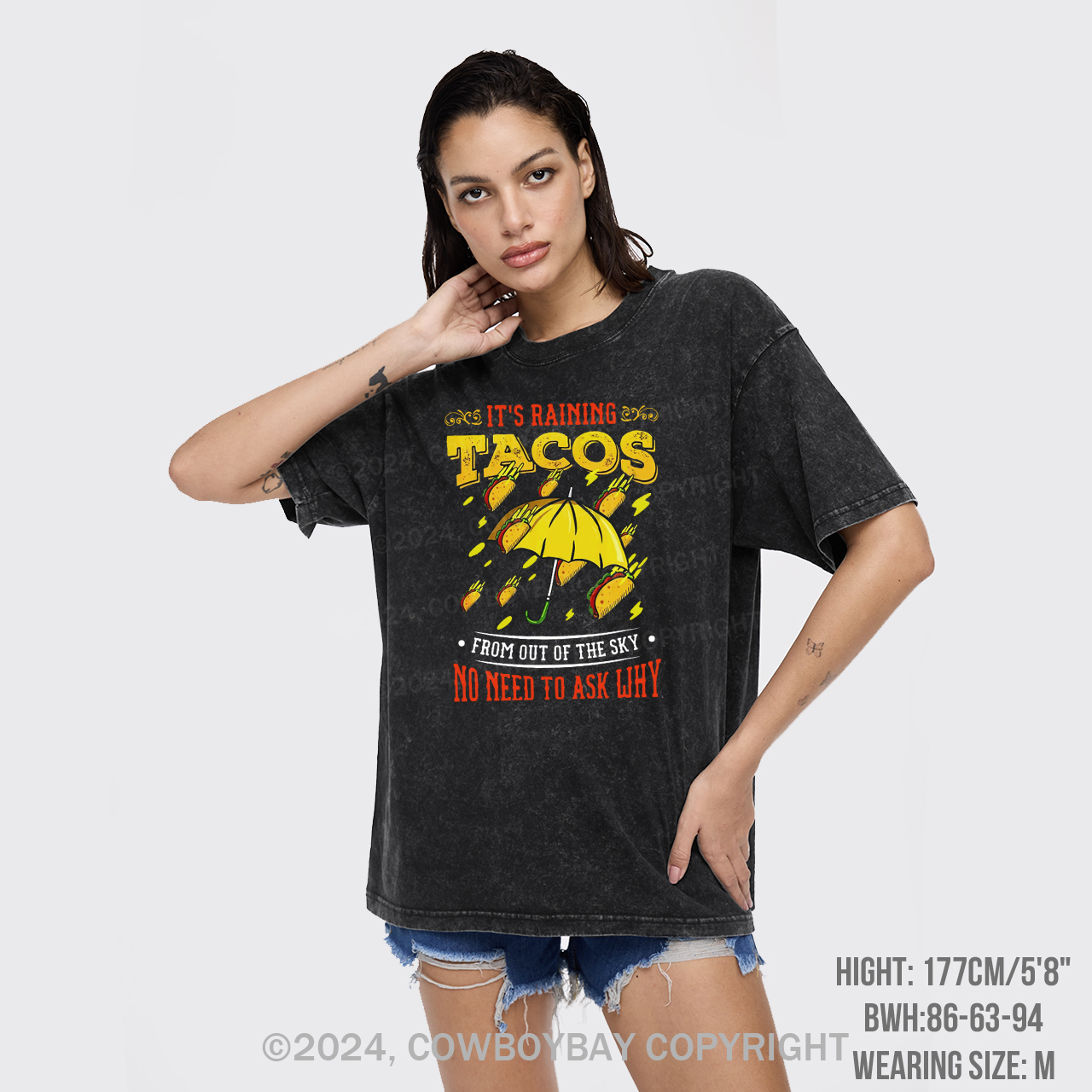 Its Raining Tacos Garment-dye Tees