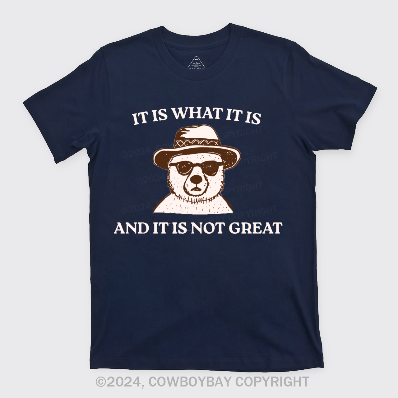 It Is What It Is And It Is Not Great T-Shirts
