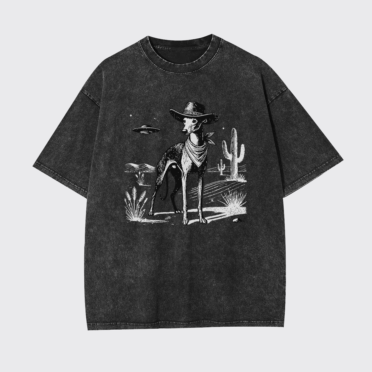 Whippet Vintage UFO Western Garment-dye Tees