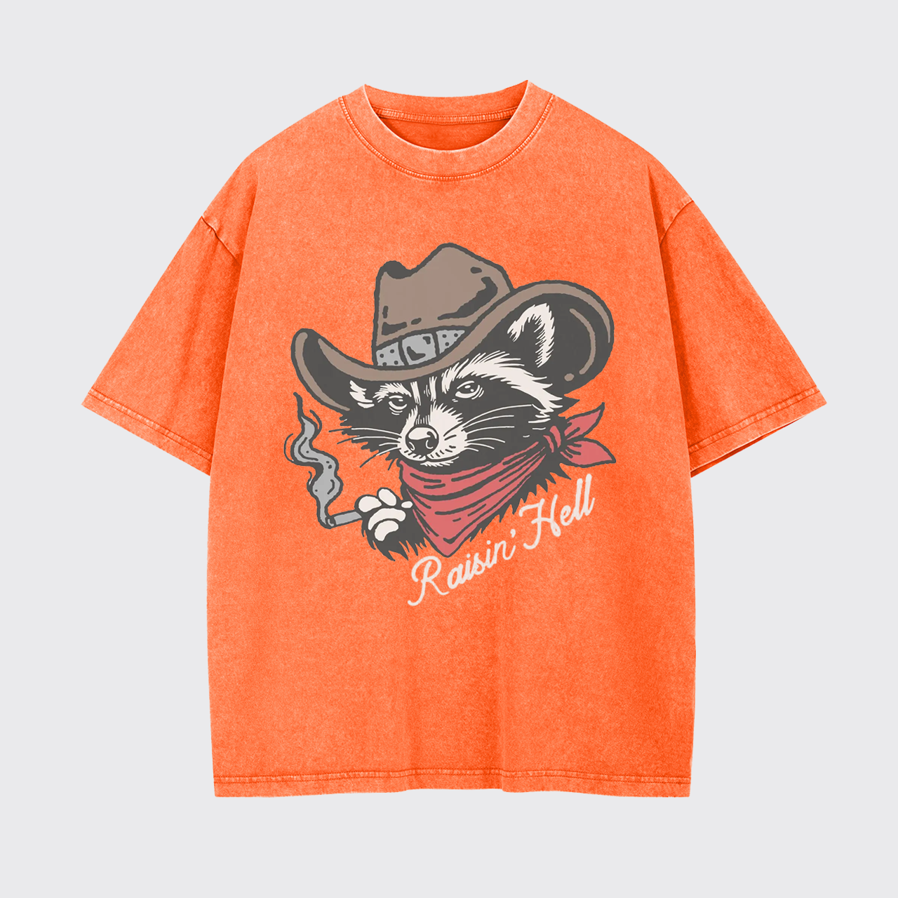 Raisin' Hell Vintage Cowboy Country Garment-dye Tees