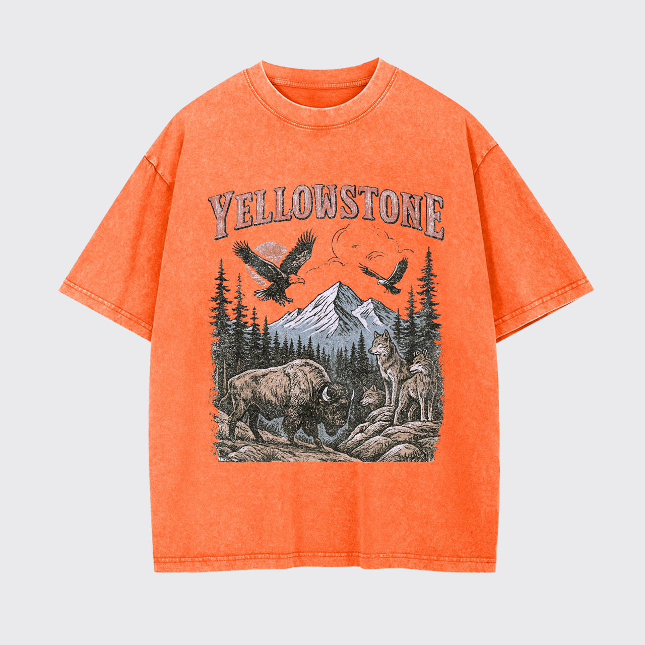 Yellowstone National Park Vintage 90s Garment-dye Tees