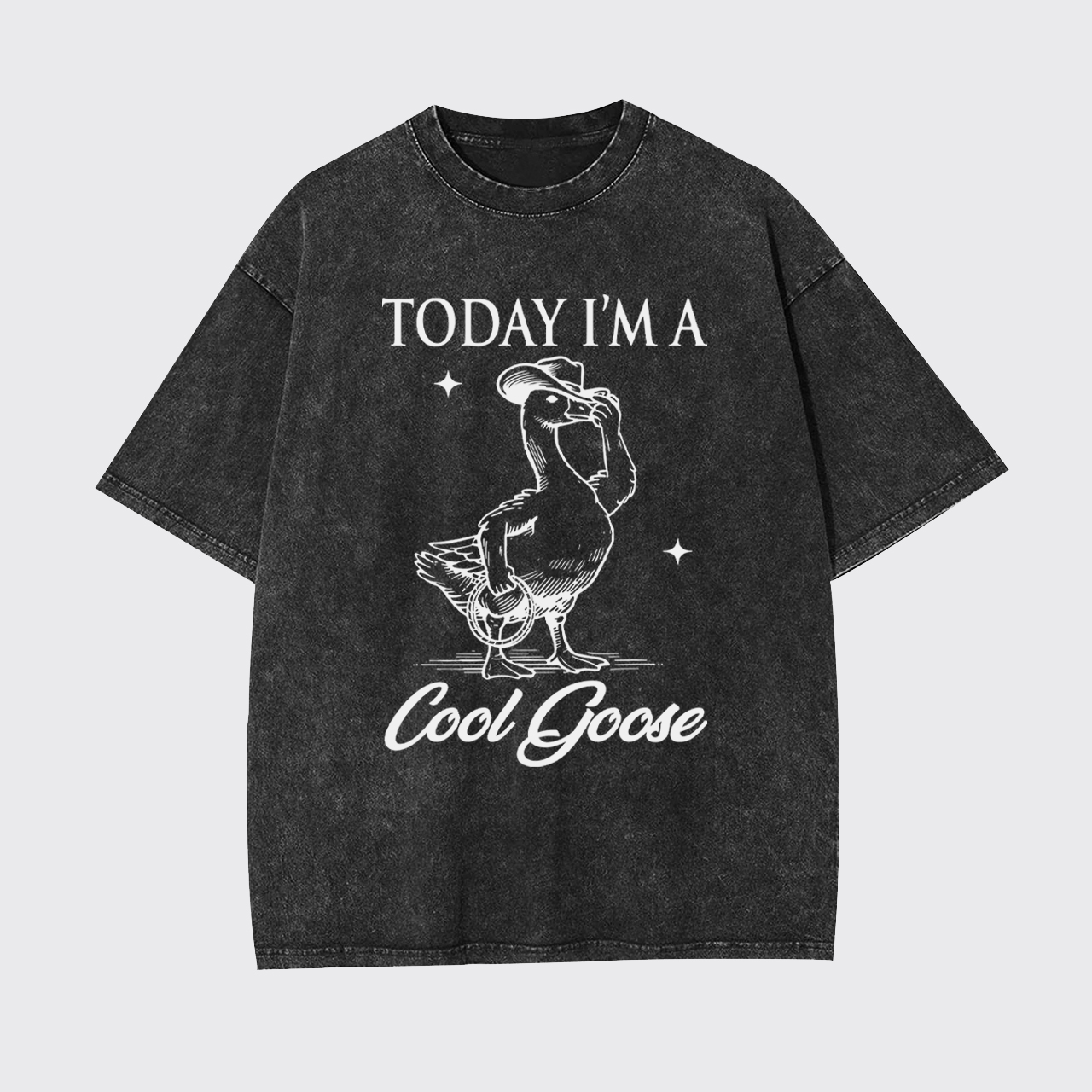 Today I'm A Cool Goose Garment-dye Tees